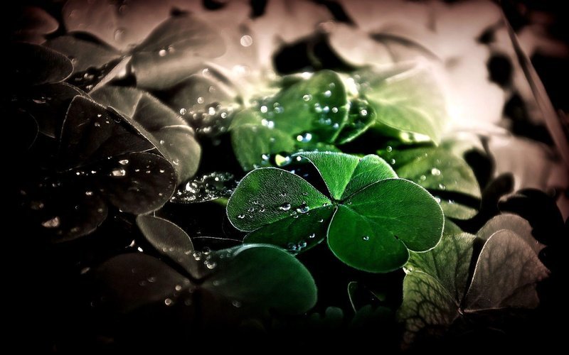 Unlimluck official website, unlim luck Unlimluck official website, unlim luck